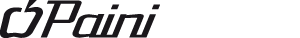 Paini logo